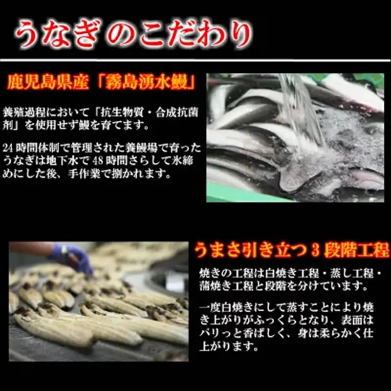 (一粒庵) うなぎおこわ 6食セット 125g×6(合計750g)