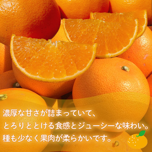 【せとか】【2027年2月中旬頃から順次発送】 家庭用 せとか 2.5kg 【SU0121】