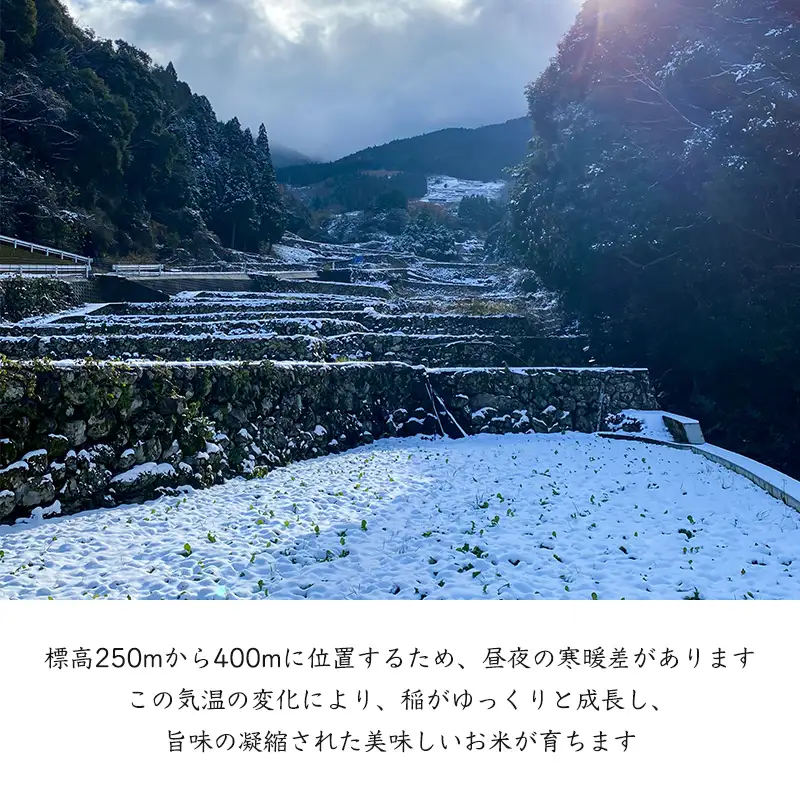 『先行予約』【令和8年産新米】特別栽培棚田米「蕨野」5kg×1袋(合計5kg) 家庭排水が一切入らない自然水で作られたお米 10日に1回精米で新米のような味わい