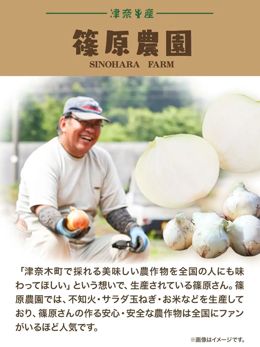 玉ねぎ 葉付き 4kg 玉ねぎ