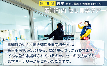 【豊浦町内】セリ見学ツアー（3人用）  
