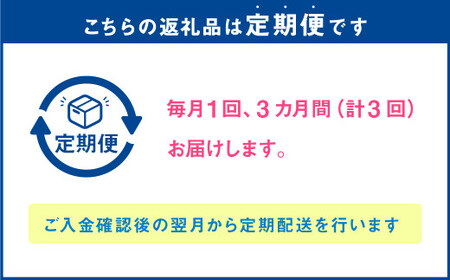 【3か月連続定期便】 熊本県産 大粒 冷凍ブルーベリー 1kg（500g×2パック）×3回 合計3kg  フルーツ 果物 くだもの 冷凍 ブルーベリー 国産