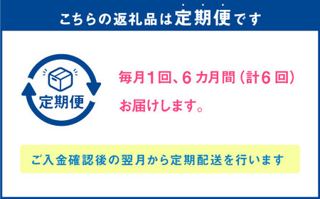 【6か月連続定期便】 熊本県産 大粒 冷凍ブルーベリー 1kg（500g×2パック）×6回 合計6kg  フルーツ 果物 くだもの 冷凍 ブルーベリー 国産