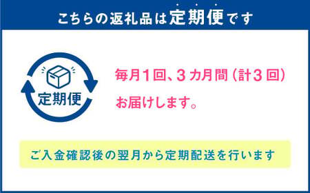 【3か月連続定期便】 熊本県産 大粒 冷凍ブルーベリー 2kg（500g×4パック）×3回 合計6kg  フルーツ 果物 くだもの 冷凍 ブルーベリー 国産