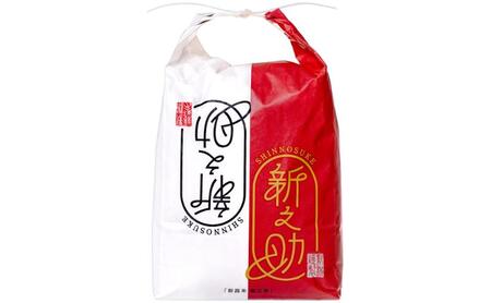【通年受付】令和7年産魚沼産新之助　精米10kg（5kgx２袋）全12回 十日町市 十日町 米