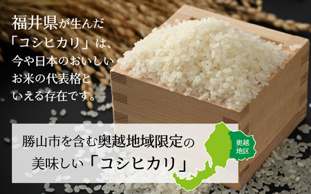 令和6年産 福井県産奥越コシヒカリ2kg ×2袋（計 4kg） [A-015019]