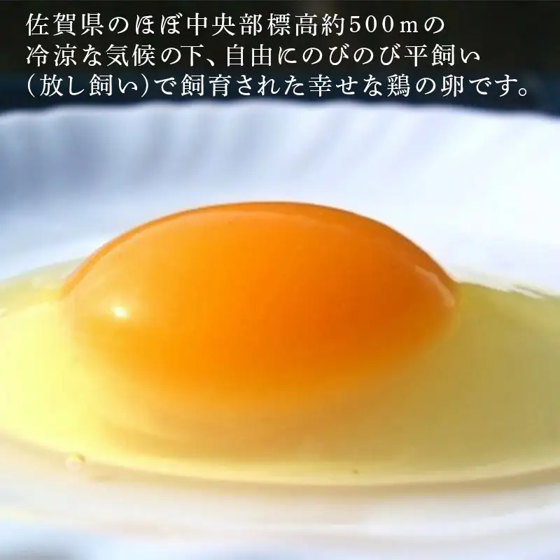 放し飼い！七山たまご 80個箱 (大玉) 玉子 生卵 鶏卵 佐賀県唐津産