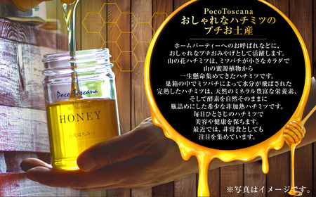 おしゃれなハチミツのプチお土産 200g瓶×6本セット 合計1.2kg ／ 蜂蜜 はちみつ 非加熱 国産 非常食 長期保存 長崎県 長崎市