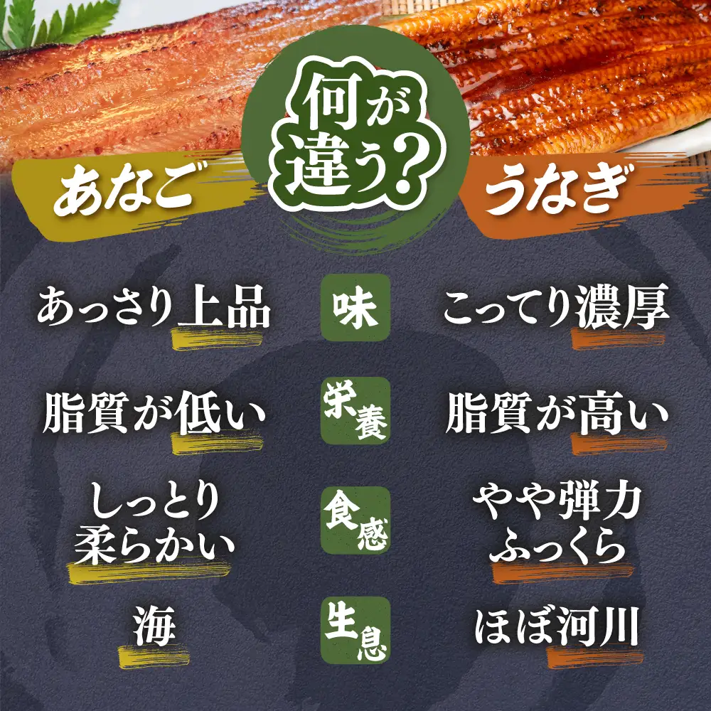 訳あり 穴子 国産 340g 蒲焼き 小分け (170g×2) あなご 尾部 切り落とし 穴子蒲焼 塩竈市 三晃食品