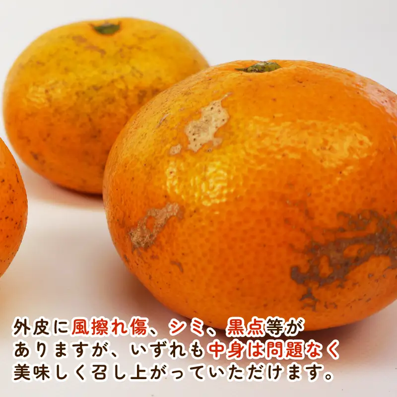 訳あり みかん 南柑20号 6kg ふるくとファーム ﾐｶﾝB010-037005