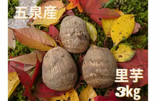 さといも 里芋 3kg 五泉産 新潟 のっぺ 野菜｜さといも サトイモ