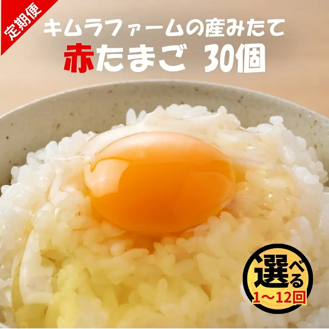 卵 定期便 12ヶ月 赤たまご 30個 産みたて たまご 