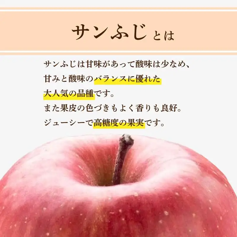 贈答用 完熟 りんご 5㎏ サンふじ 葉取らず