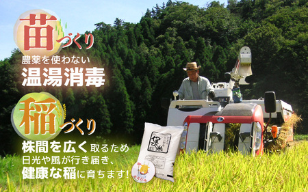 【先行予約】【令和7年産・新米】米 コシヒカリ（特別栽培米）10kg 新庄やまびこ米（玄米）【2025年10月以降順次発送予定】 [m23-c004]