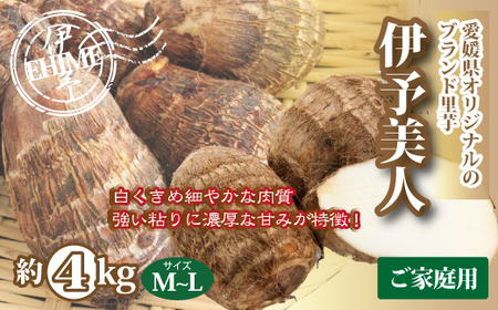 【2026年先行予約】里芋 4kg 伊予美人 【2026年9月末から順次発送予定】 さといも サイズ 不揃い ご家庭用 芋 いも 煮付け 芋炊き 芋煮 野菜 数量限定 国産 愛媛 伊予市｜B357
