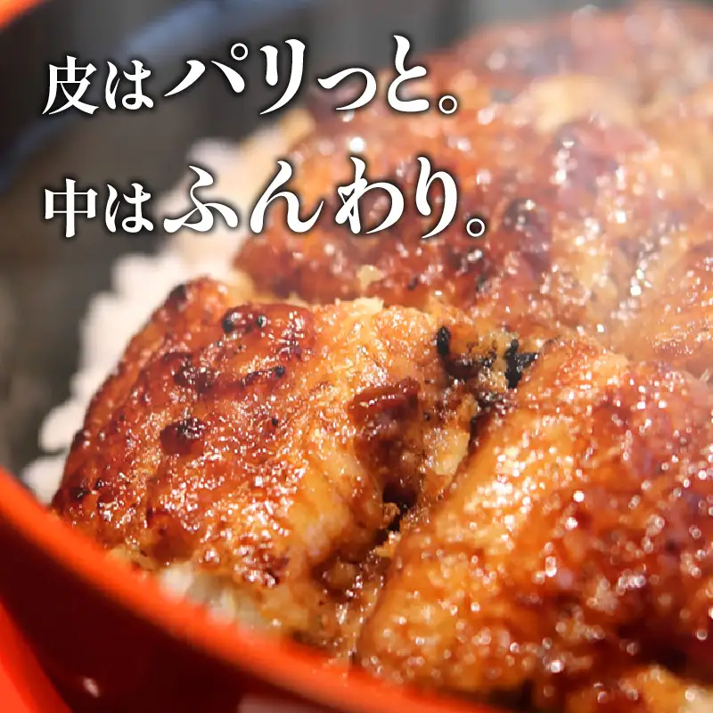 うなぎ 蒲焼 うなぎ[国産 3尾 備長炭手焼き 660g]