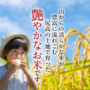 【令和8年産新米】松本さんが作った上毛町尻高地区産の厳選米「夢つくし」5kg _K05806