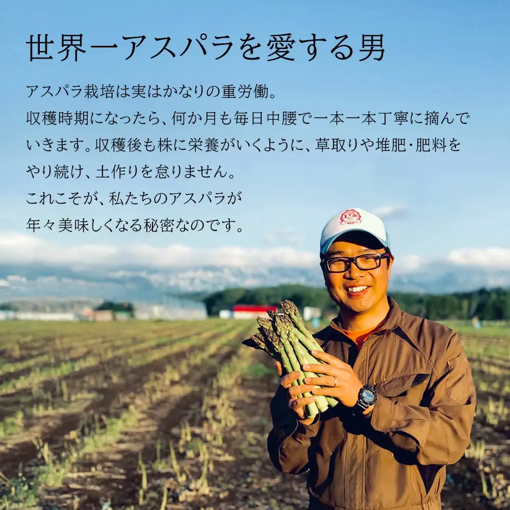 アスパラガス Lサイズ 2kg【令和9年産先行予約】北海道 ラスノーブル アスパラガス