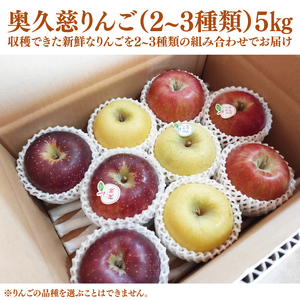 旬のおいしい奥久慈りんご食べ比べ 約5kg【しいなりんご園】※2026年10月中旬頃発送開始予定｜茨城県 大子町 林檎 アップル 詰合せ 旬 果物 フルーツ ギフト 贈答(CI002-1)