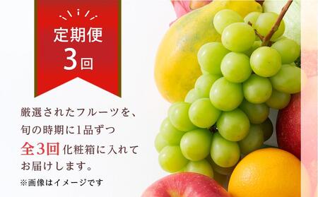 【全3回】極みのフルーツ定期便 (化粧箱入り)