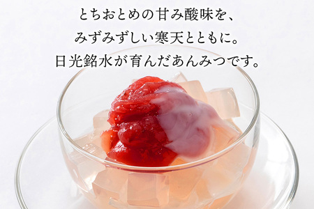 日光いちごミルクあんみつ 6個 [0999]