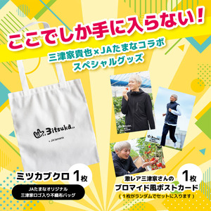 いちご「ゆうべに」 500g｜三津家のイチゴバコ