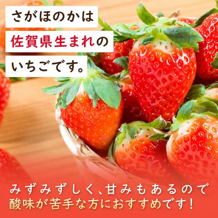 【全3回定期便】淡雪・さがほのか 紅白いちごセット 計1.32kg （220g×2パック×3回） / 佐賀県 いちご / 岸川農園 [41ASAG006]
