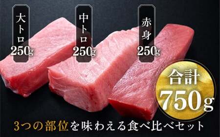 【定期便3回】冷蔵でお届け！人気の生本マグロ堪能セット（柵どり） 計750g × 3回お届け （毎月お届け）