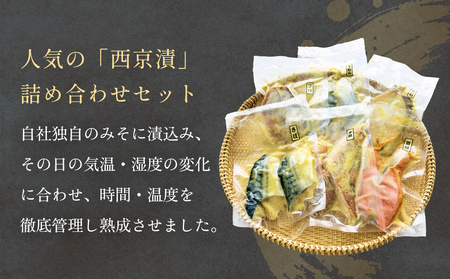 西京漬け 銀鮭 6種 詰め合わせ 1.02kg 西京漬け