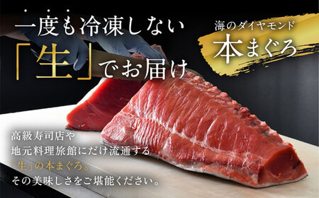 【定期便3回】冷蔵でお届け！大満足！生本マグロ 中トロ（柵どり） 700g × 3回お届け （毎月お届け）