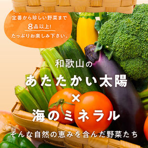【定期便】旬の新鮮野菜セットたっぷり8種以上 6か月【8056-1】