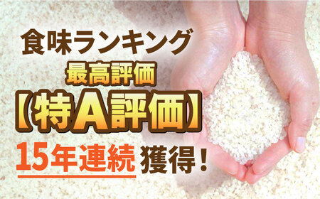 【15年連続最高評価特A受賞】令和6年産 さがびより 無洗米 10kg 特別栽培米 /江口農園 [UBF032]