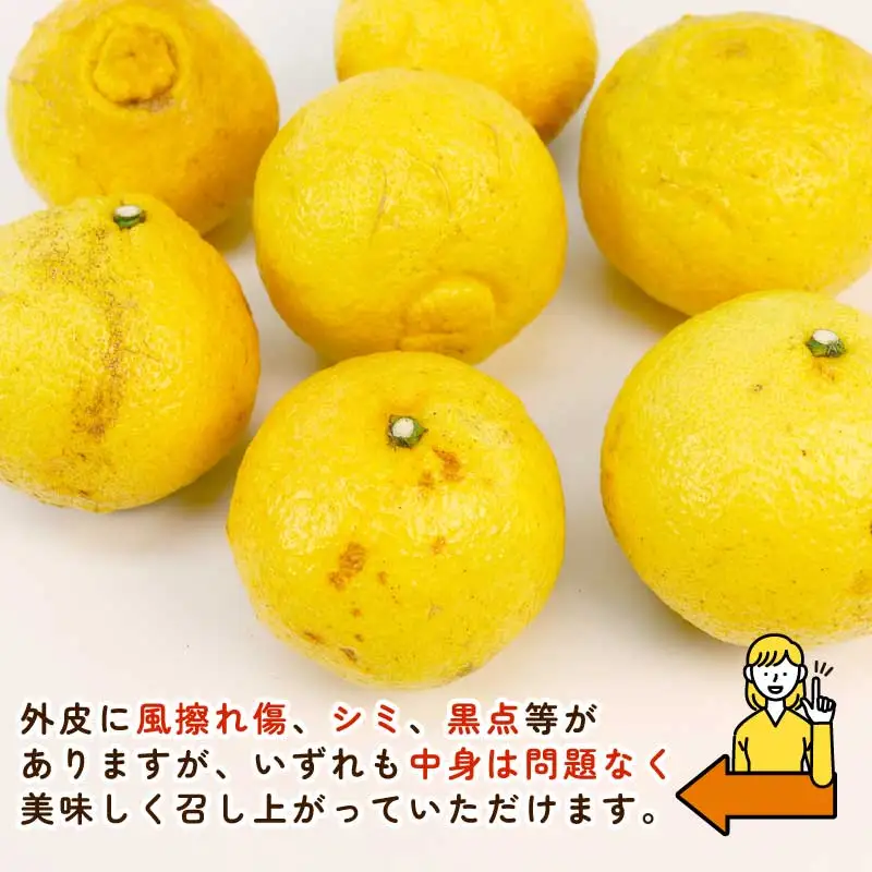 訳あり はるか みかん 約5.5kg ふるくとファーム かなこちゃん はるか B010-037007