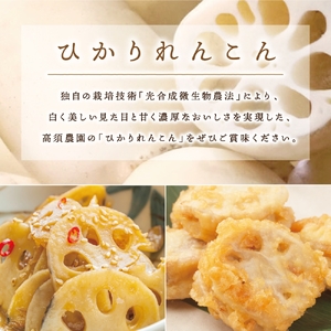 夏だけの味！「新ひかりれんこん」2kg (ASサイズ) 専用箱入 [1743]