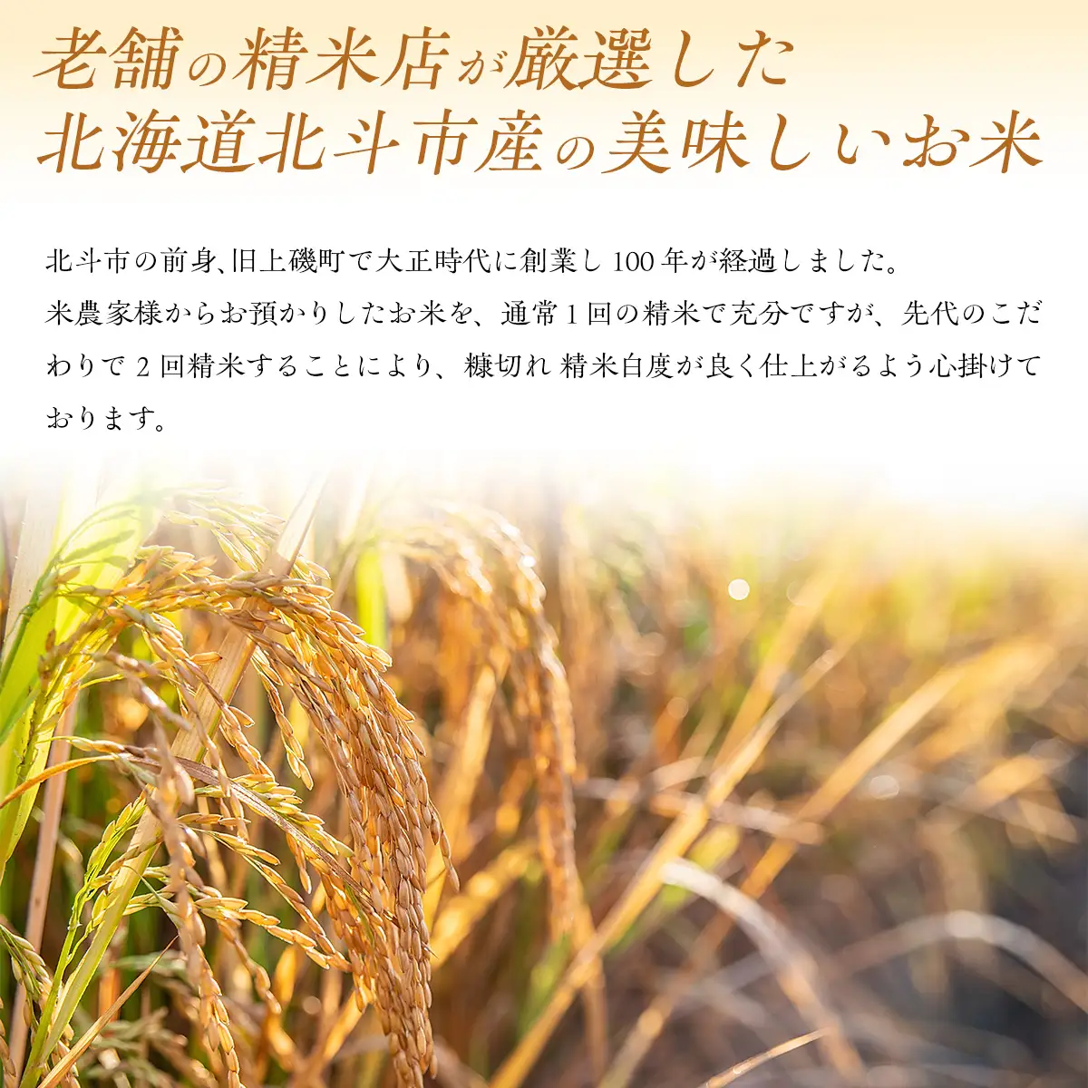 [北斗市産]令和7年産ふっくりんこ 10kg（5kg×2） HOKAD003