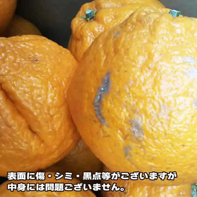 訳あり 不知火 約5.5kg ふるくとファーム デコポン ( デコポン と同品種) B010-037008