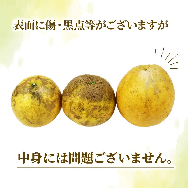 訳あり 河内晩柑 約 8kg YAMAUCHI FARM  河内晩柑 B010-084006