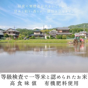 令和6年産 京都府産キヌヒカリ 白米 20kg 米