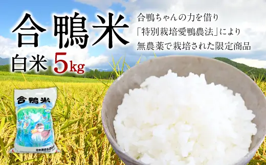 〈令和7年産〉合鴨米 白米 5kg【2025年10月上旬～2026年10月上旬発送予定】