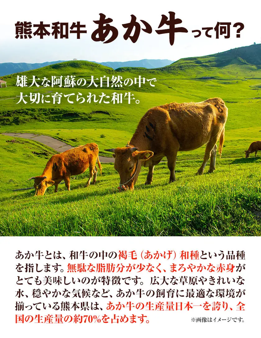 熊本和牛 あか牛 餃子 60個 