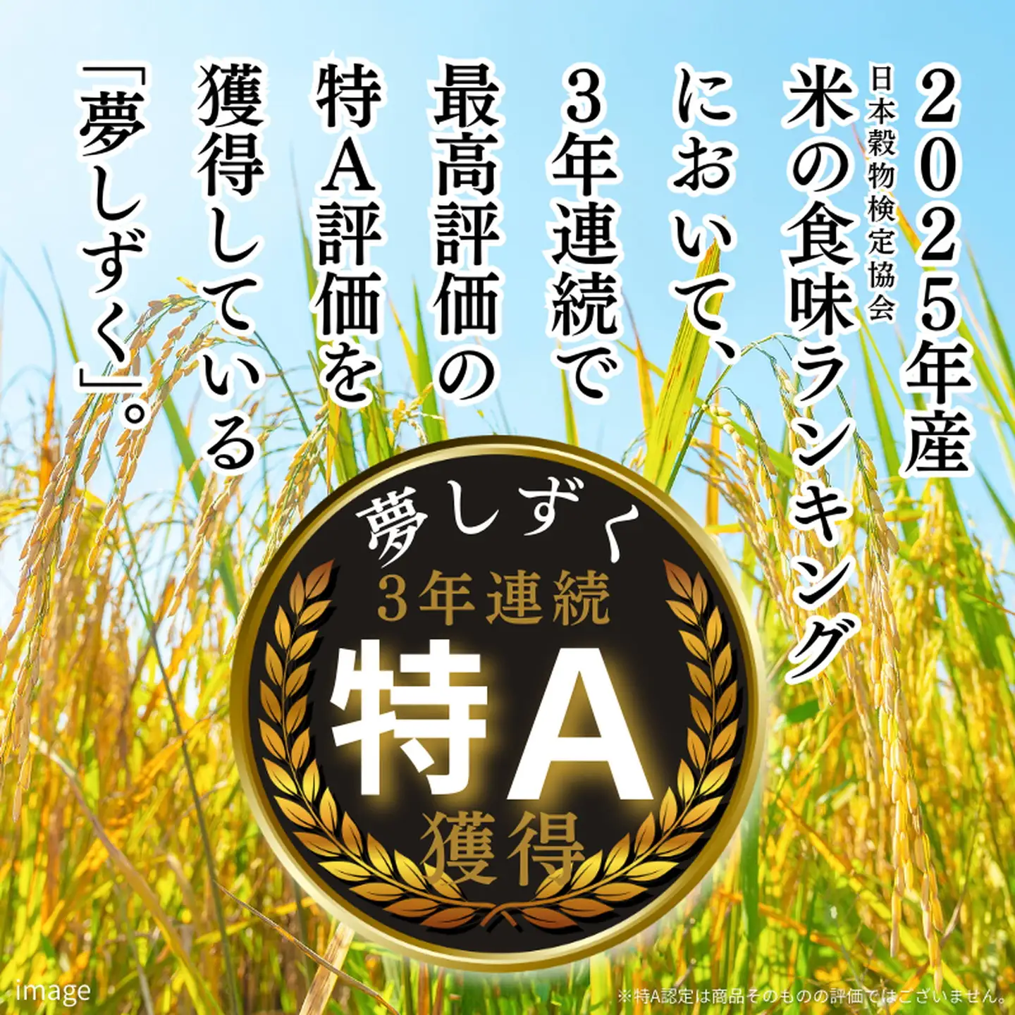 令和7年 佐賀県産「夢しずく」10kg（5kg×2袋）：B220-050