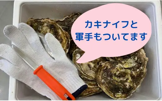 殻付き生牡蠣 20個 訳あり 三陸産 旬 生牡蠣