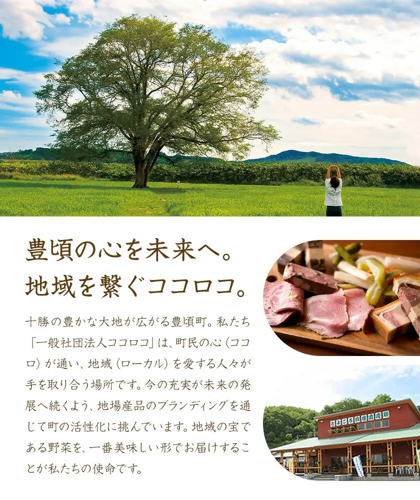 神秘のジュエリーアイス ネックレス＆ピアスセット オレンジ 一般社団法人ココロコ《30日以内に出荷予定(土日祝除く)》北海道 豊頃町 特産 ジュエリーアイス アクセサリー ネックレス ペンダント ピアス ガラス細工