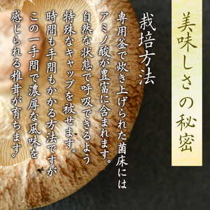 しいたけ 菌床生しいたけ 1kg 
