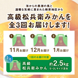 高級松兵衛みかん定期便【3回定期便】_ZS69005