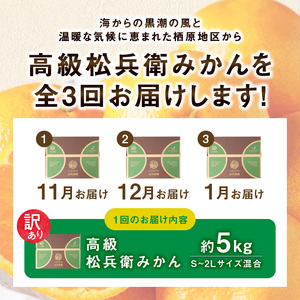 松兵衛みかんご家庭用定期便【3回定期便】_ZS69006