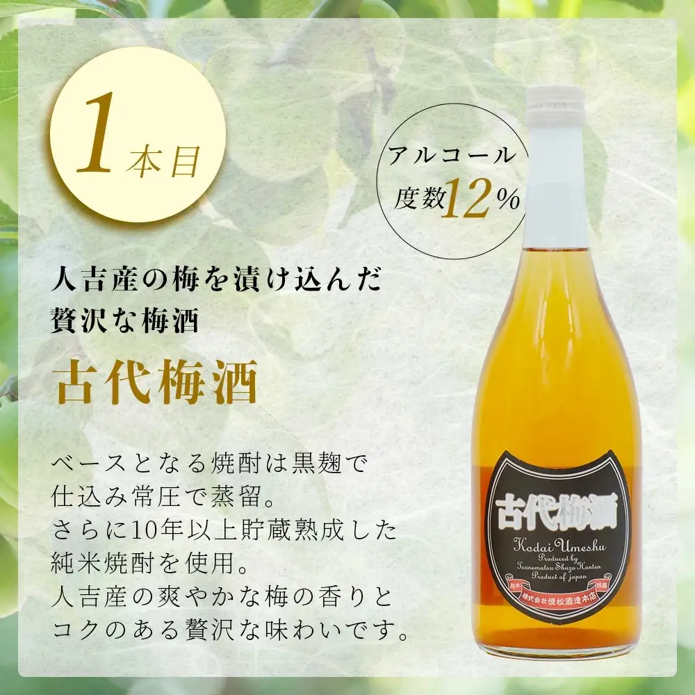 たらぎの 梅酒 セット 720ml × 2本 ≪古代 梅酒≫≪ 梅酒 文蔵≫ 球磨焼酎 多良木町 米 焼酎 梅 うめ酒 お酒 球磨 贈り物 ギフト 熊本県 多良木町 015-0689