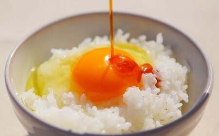 【6カ月連続お届け】放し飼い 土佐ジロー 卵 20個 卵 卵 卵 卵 卵 ［(H)1239］