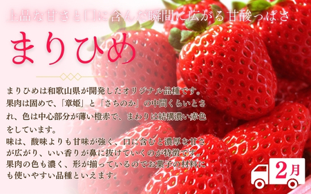 【2～3・7・9月 全3回】紀州和歌山産旬のフルーツセット（いちご・桃・巨峰）【UT96】【Z91153-tkb400】