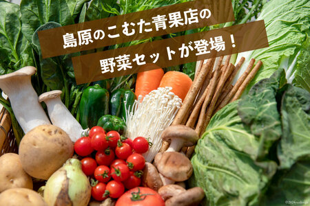 AI023【10～5月限定出荷】こむたの旬の野菜つめあわせ(13～15品目)おまかせ L セット 